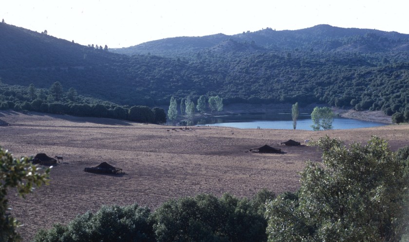 morocco sefrou daia iffer tents copy