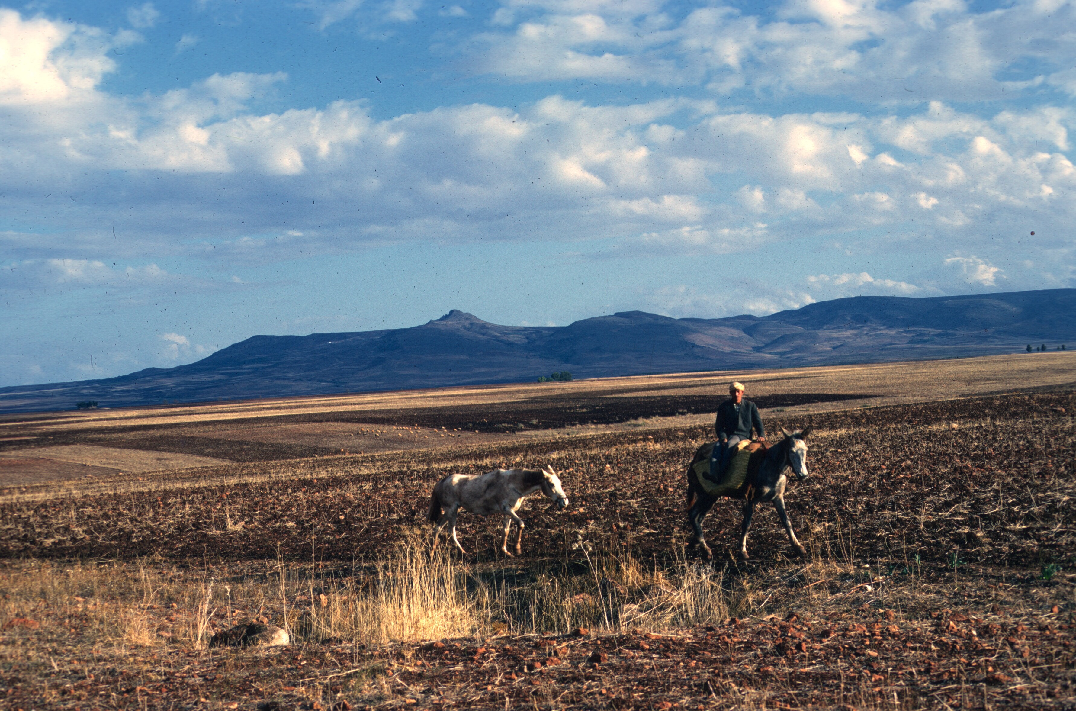 morocco sefrou fields