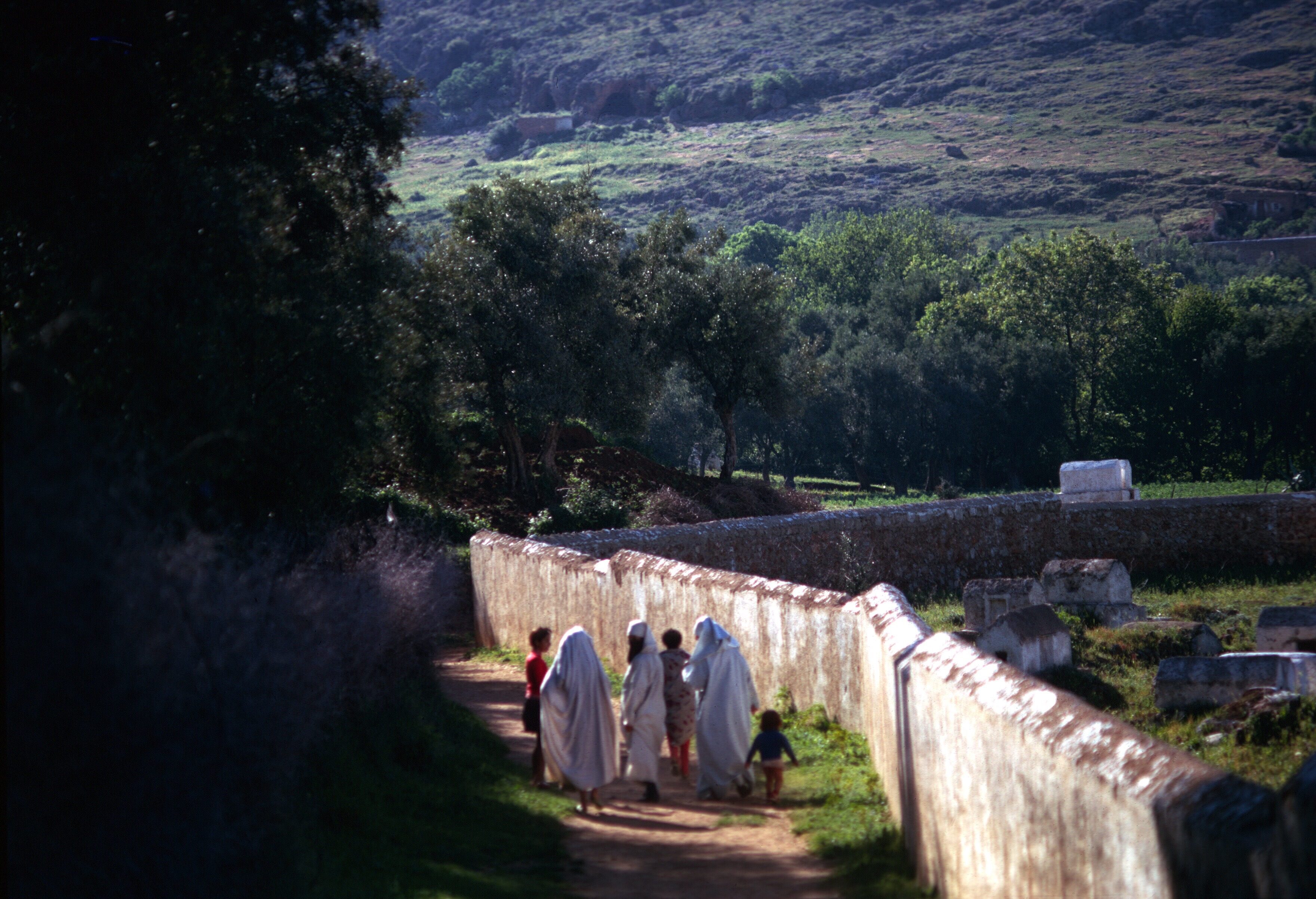 scan-100508-0063 copy