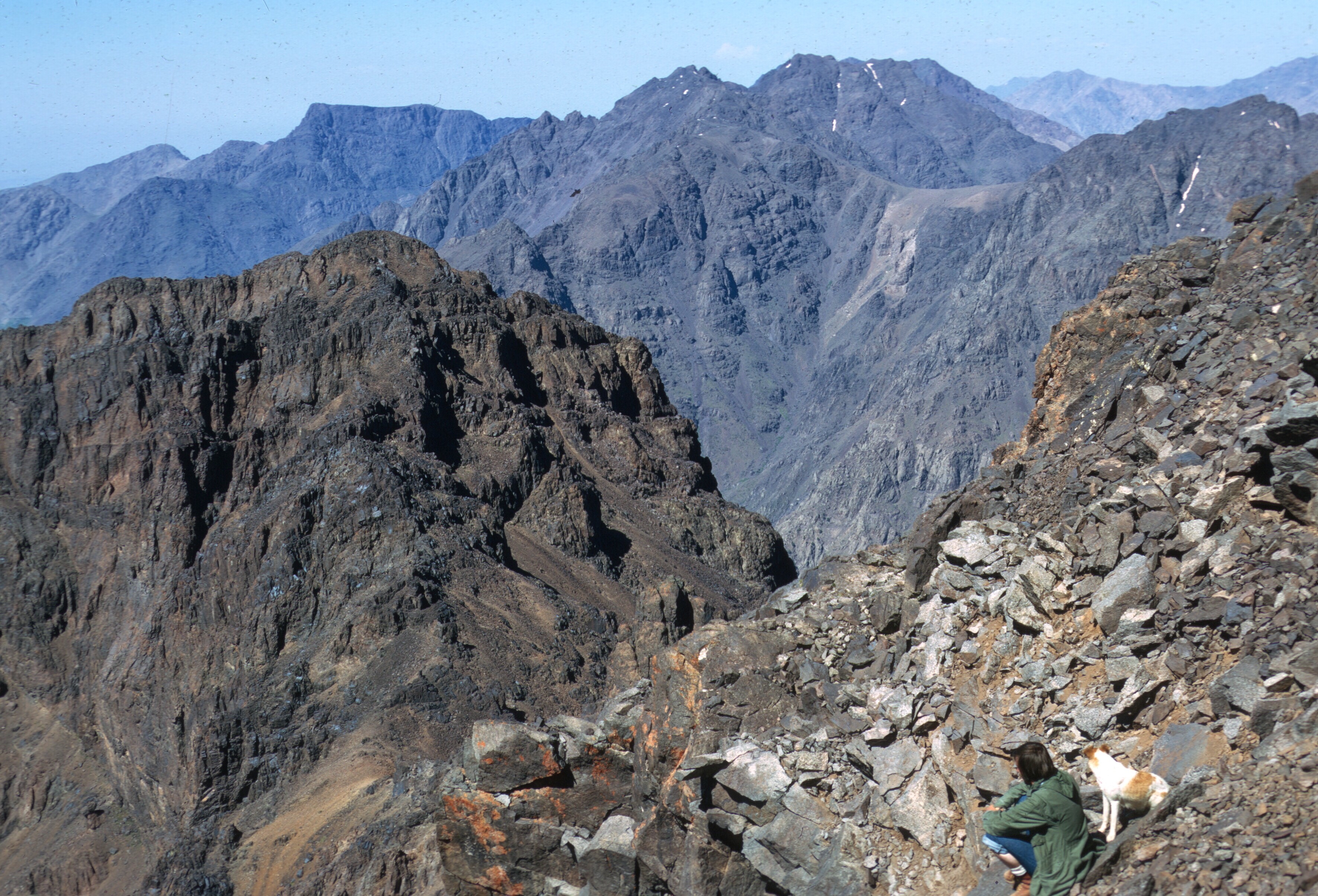 morocco h atlas tazaghart gaylord dog 2