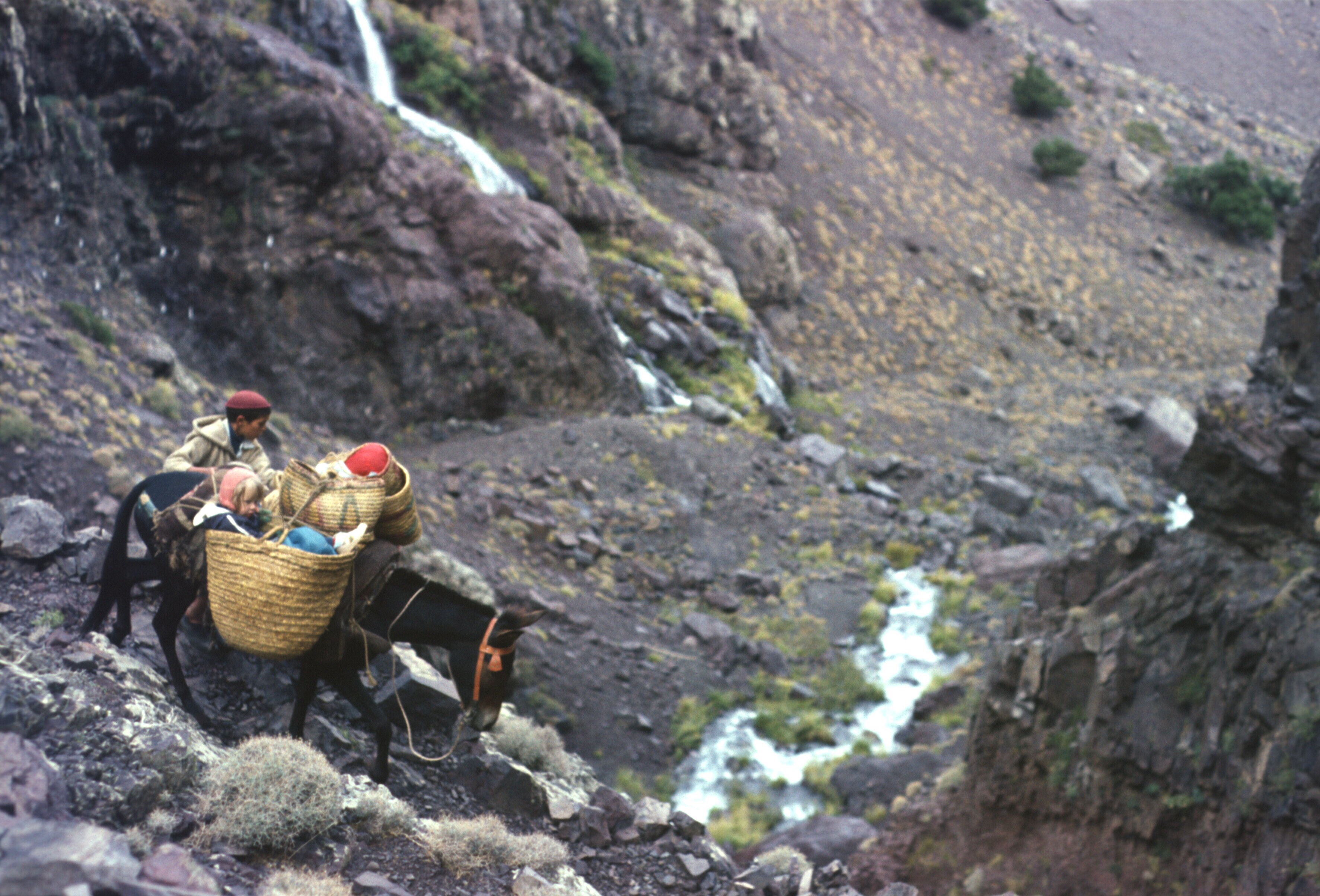 morocco high atlas lepiney liz