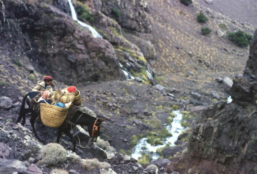 morocco high atlas lepiney liz