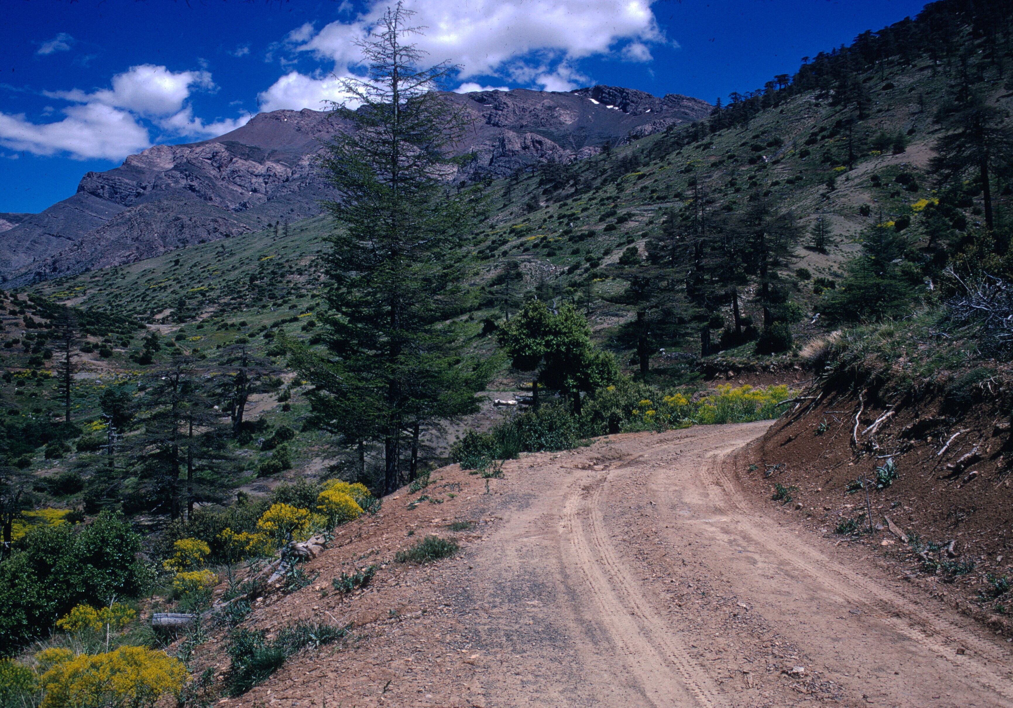 scan-110202-0001 copy