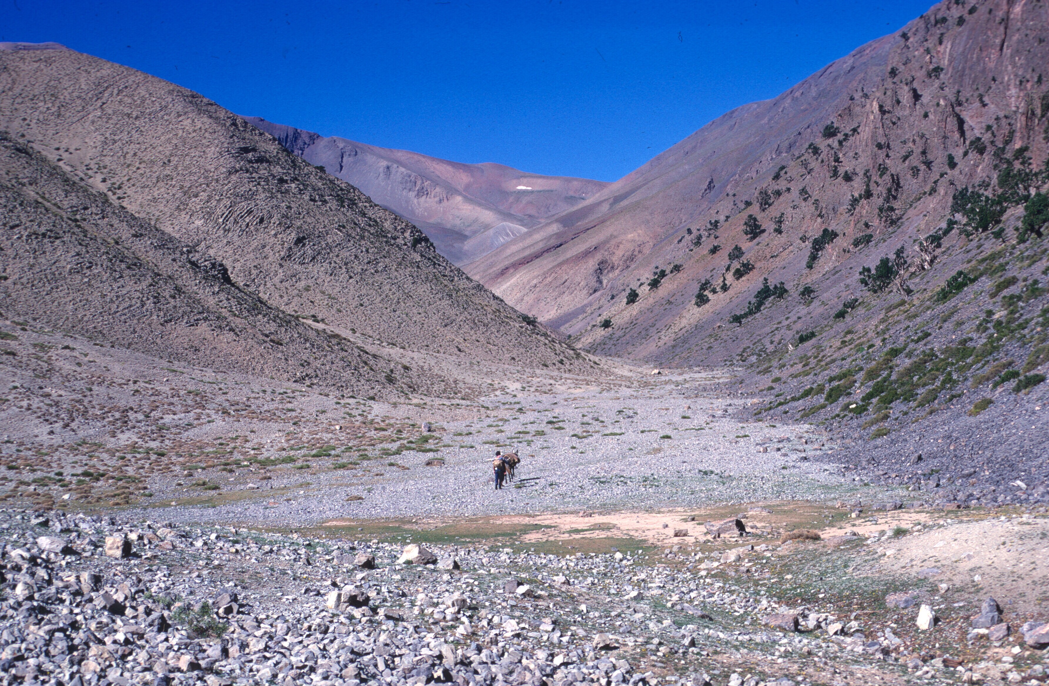 scan-110202-0008 copy