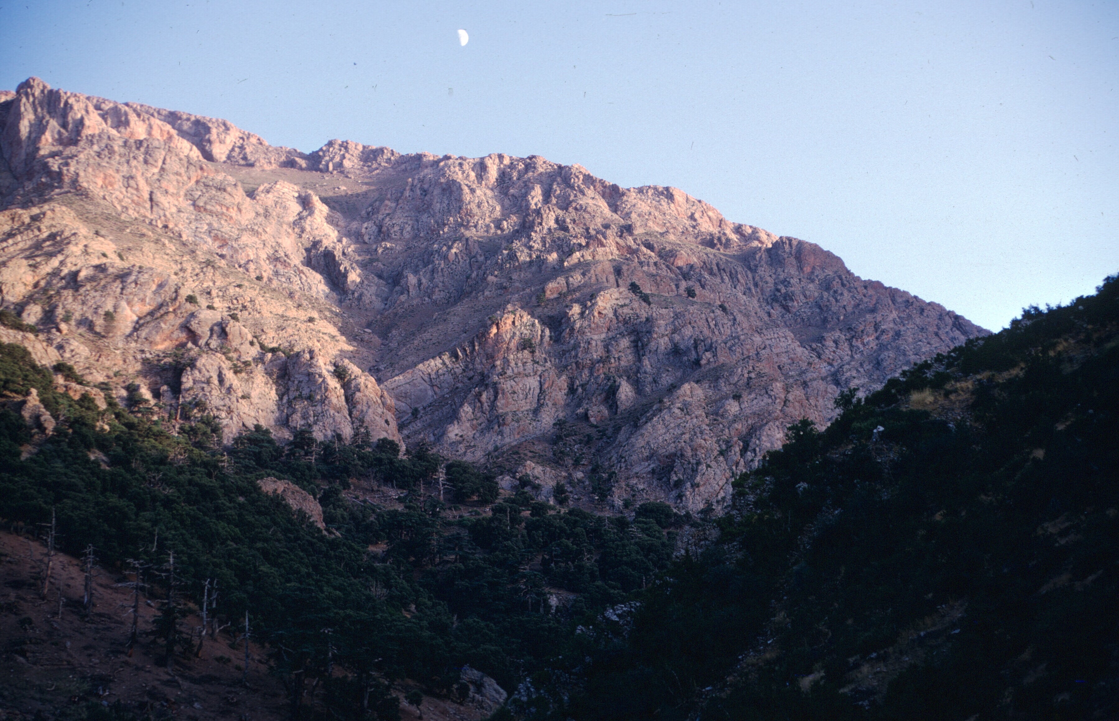 scan-110202-0009 copy