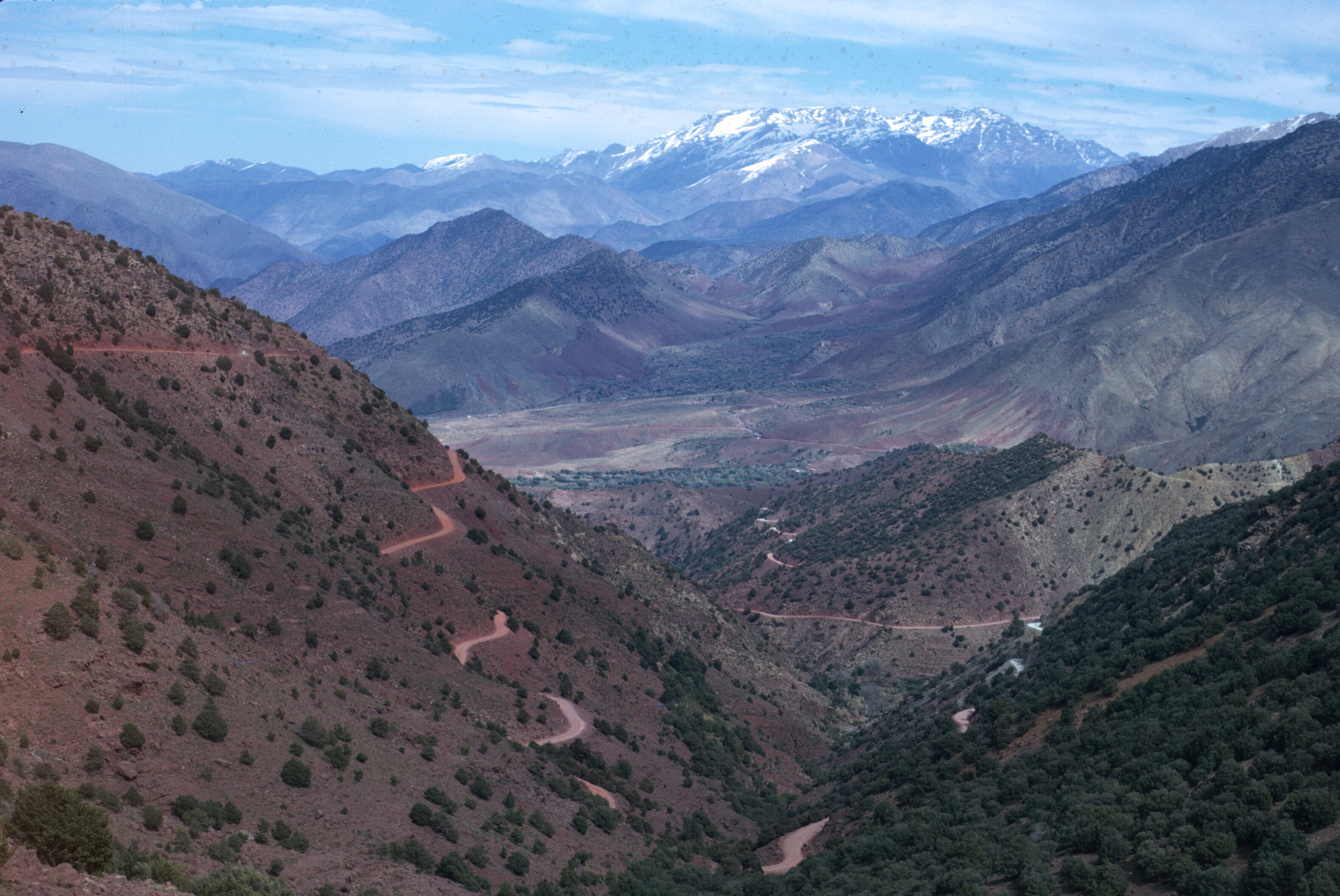 scan-110326-0040 copy