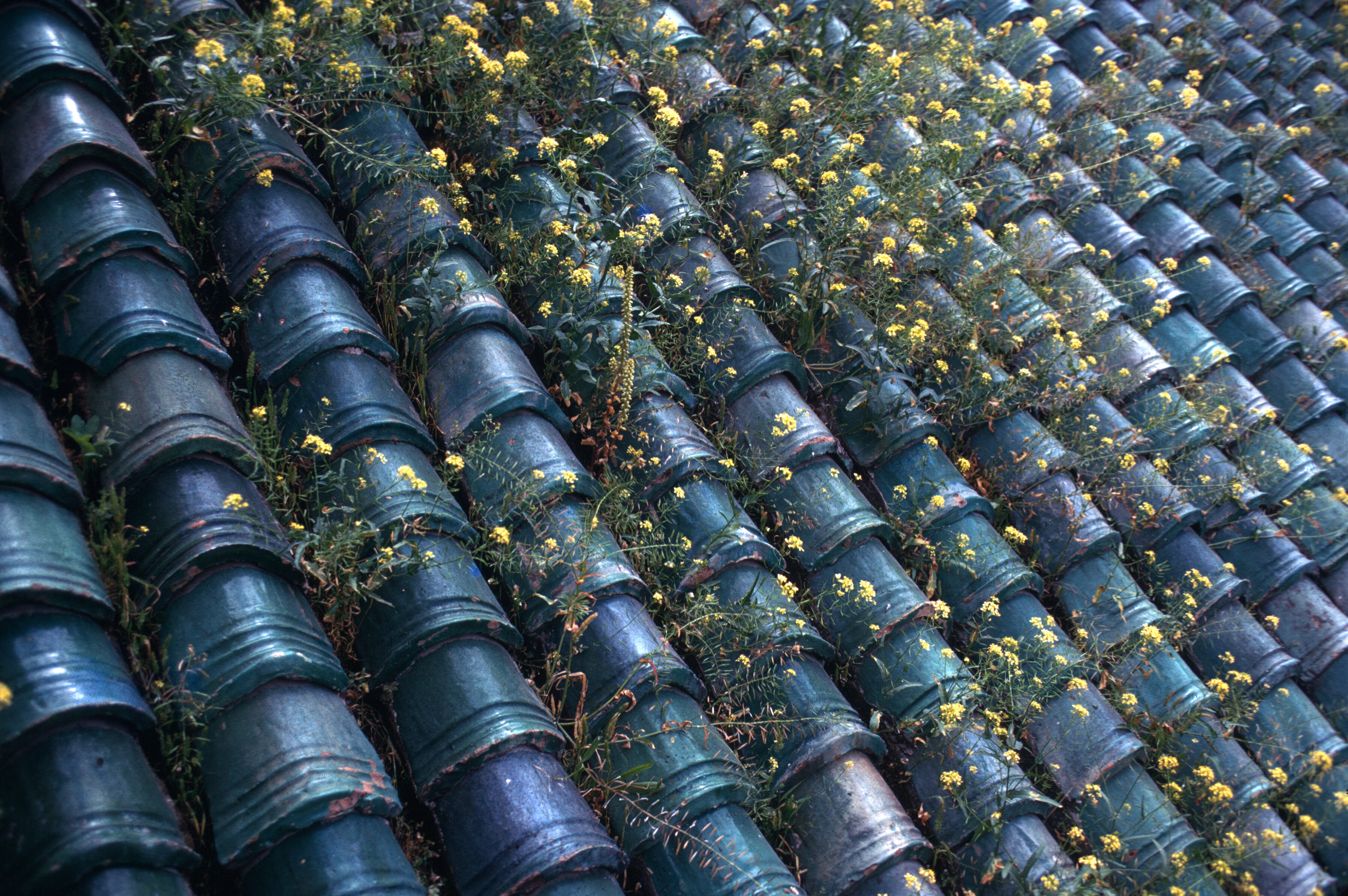 3EDF1942-46B9-414F-99AF-6D5F0A73F20E