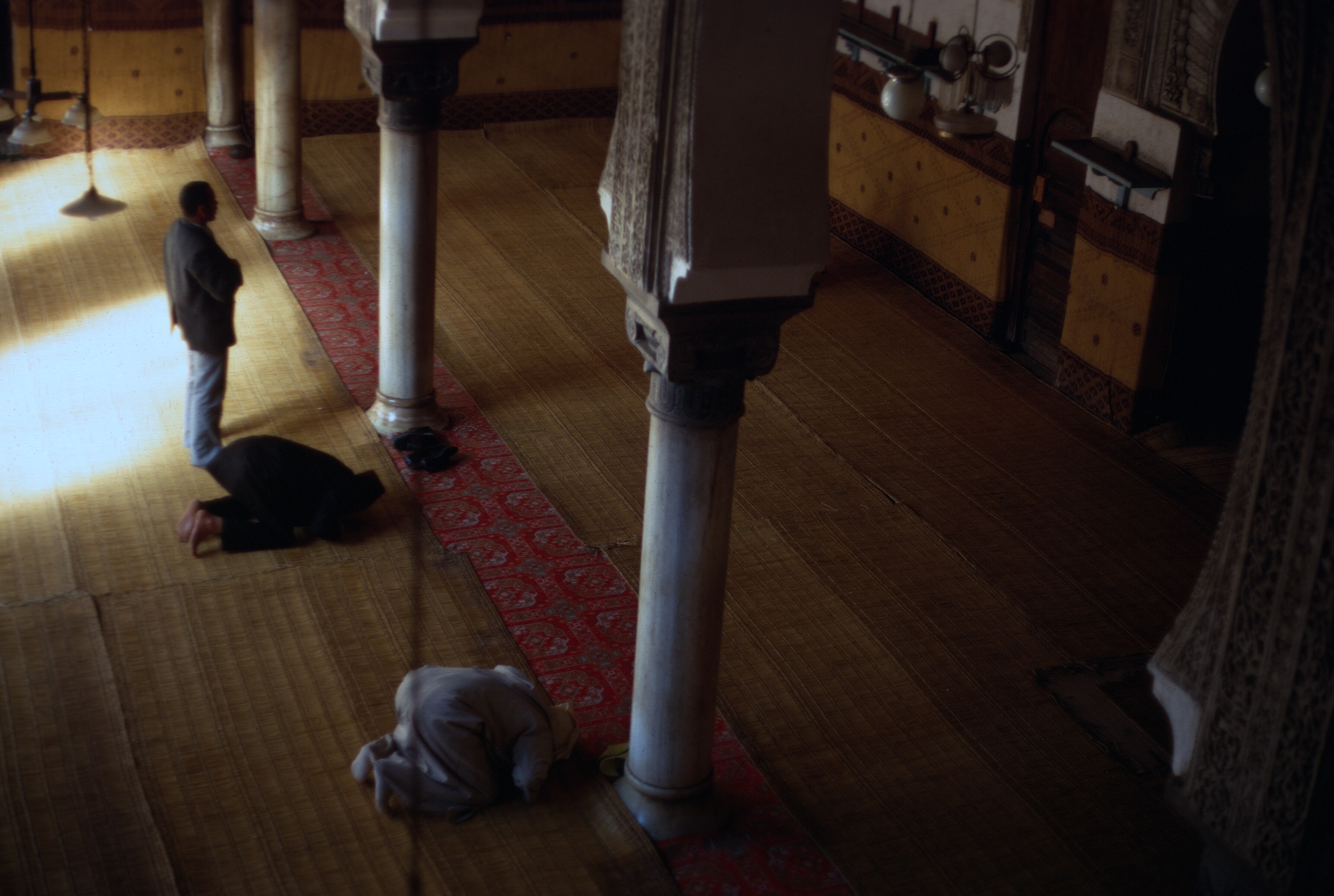 459DB2D8-471A-4A06-A095-FD5496116D77