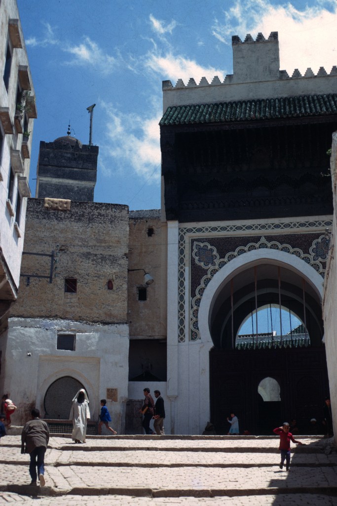 E6D17374-CF53-4F65-8FA1-6915181CC7AF