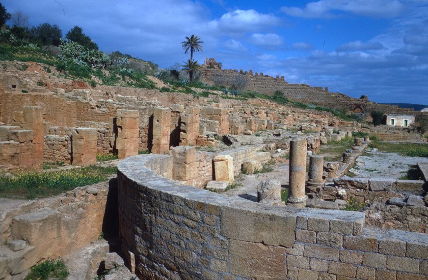 morocco rabat chella ruins 2