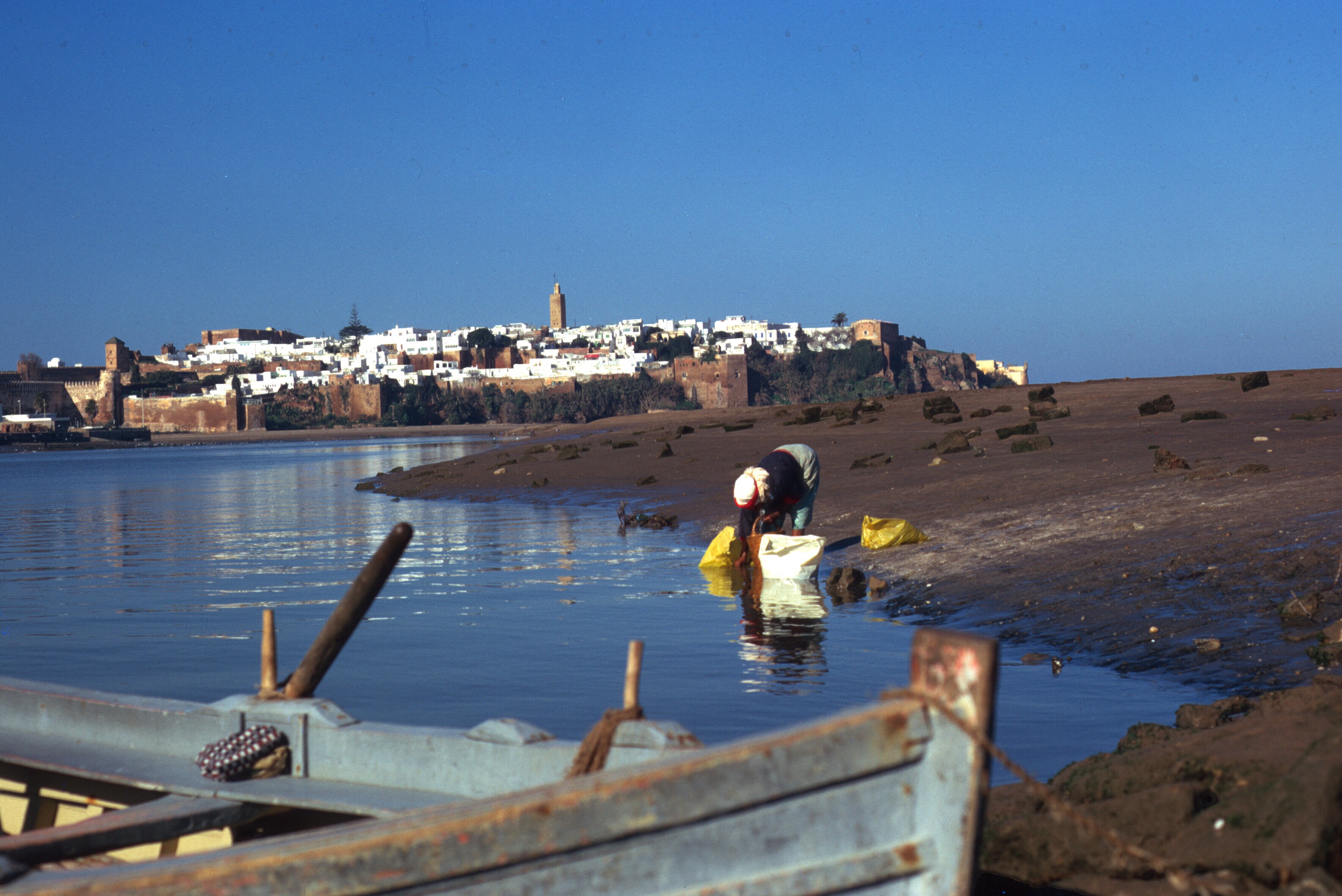 morocco rabat sale ferry copy