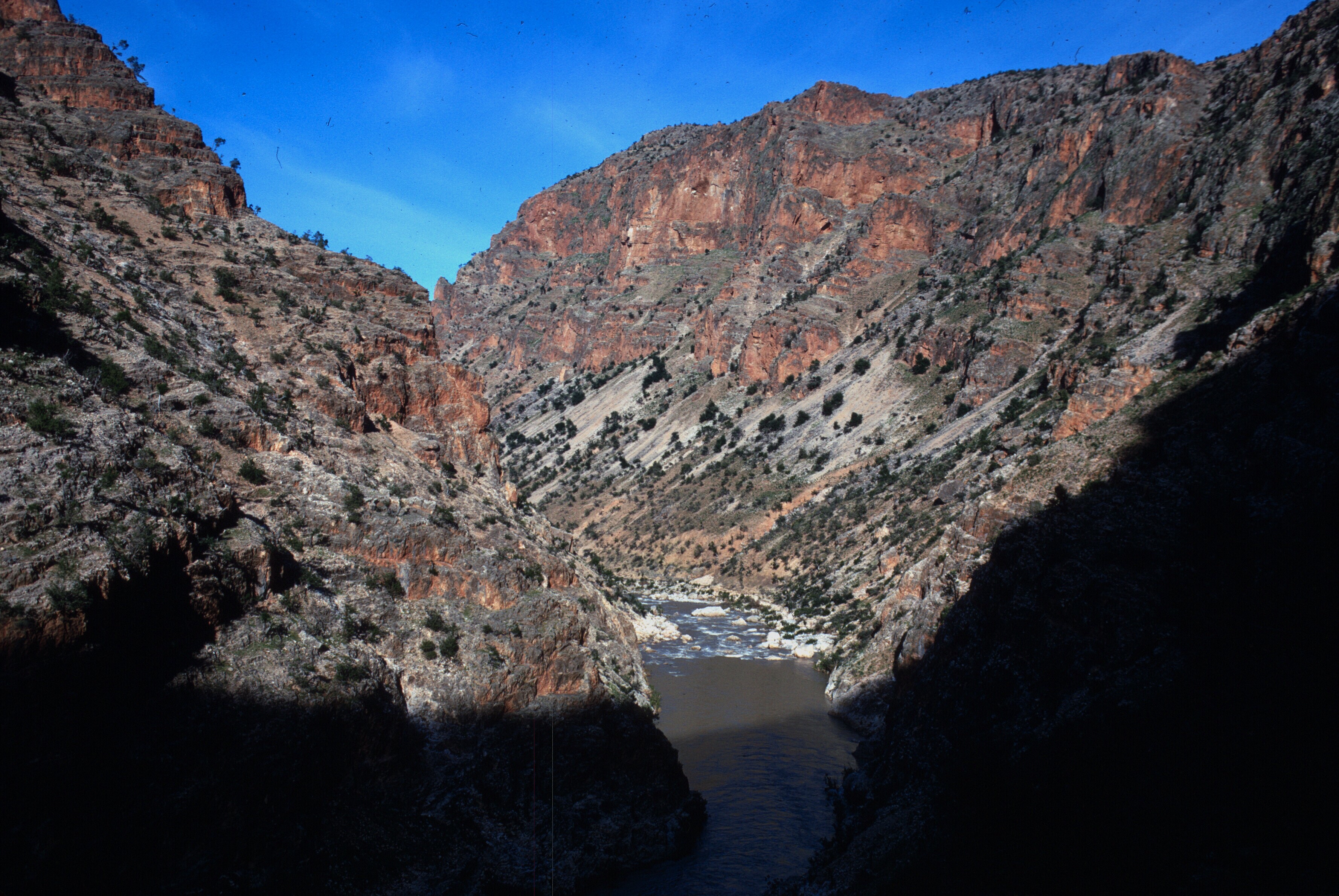 scan-110115-0005 copy