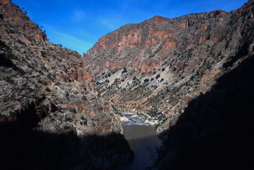 scan-110115-0005 copy