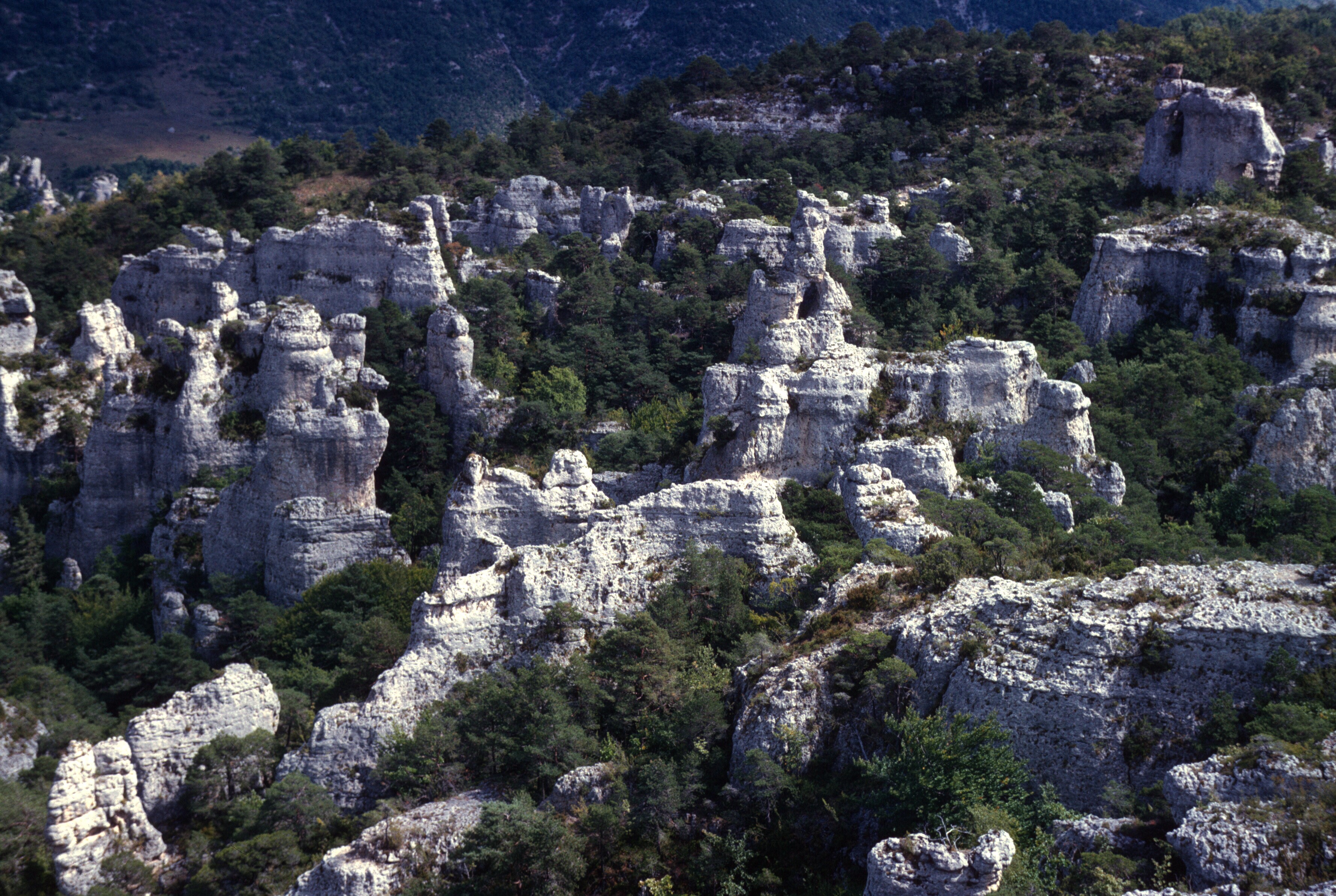 scan-110117-0044 copy