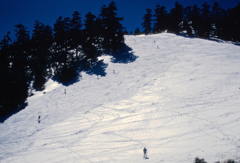 scan-110130-0013 copy