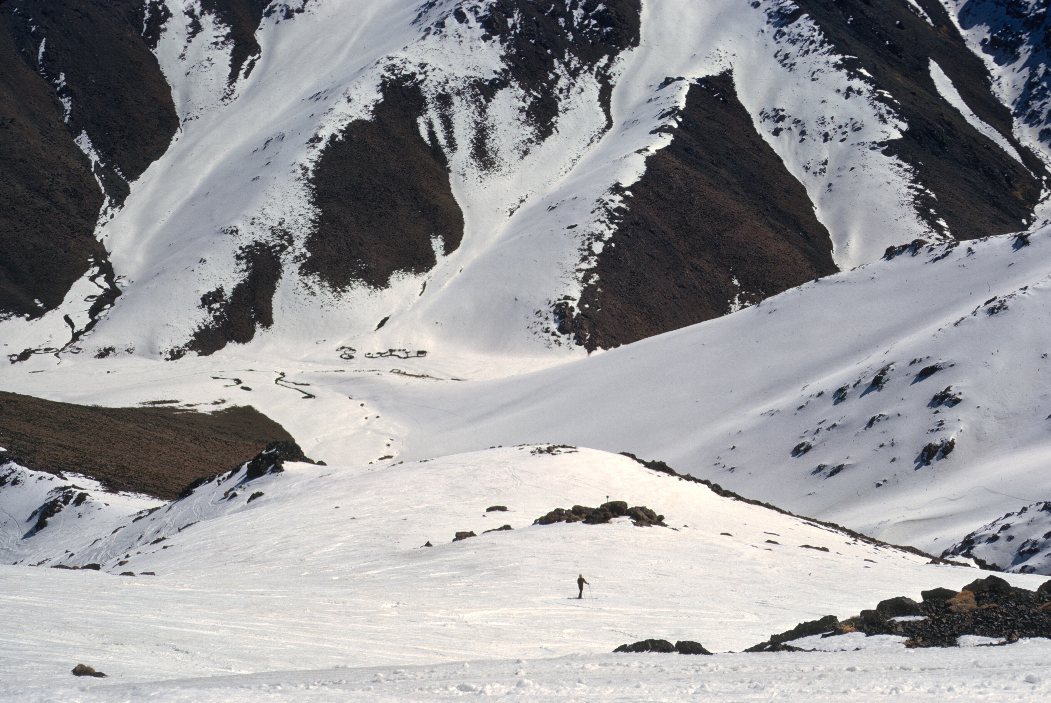 scan-110202-0040 copy