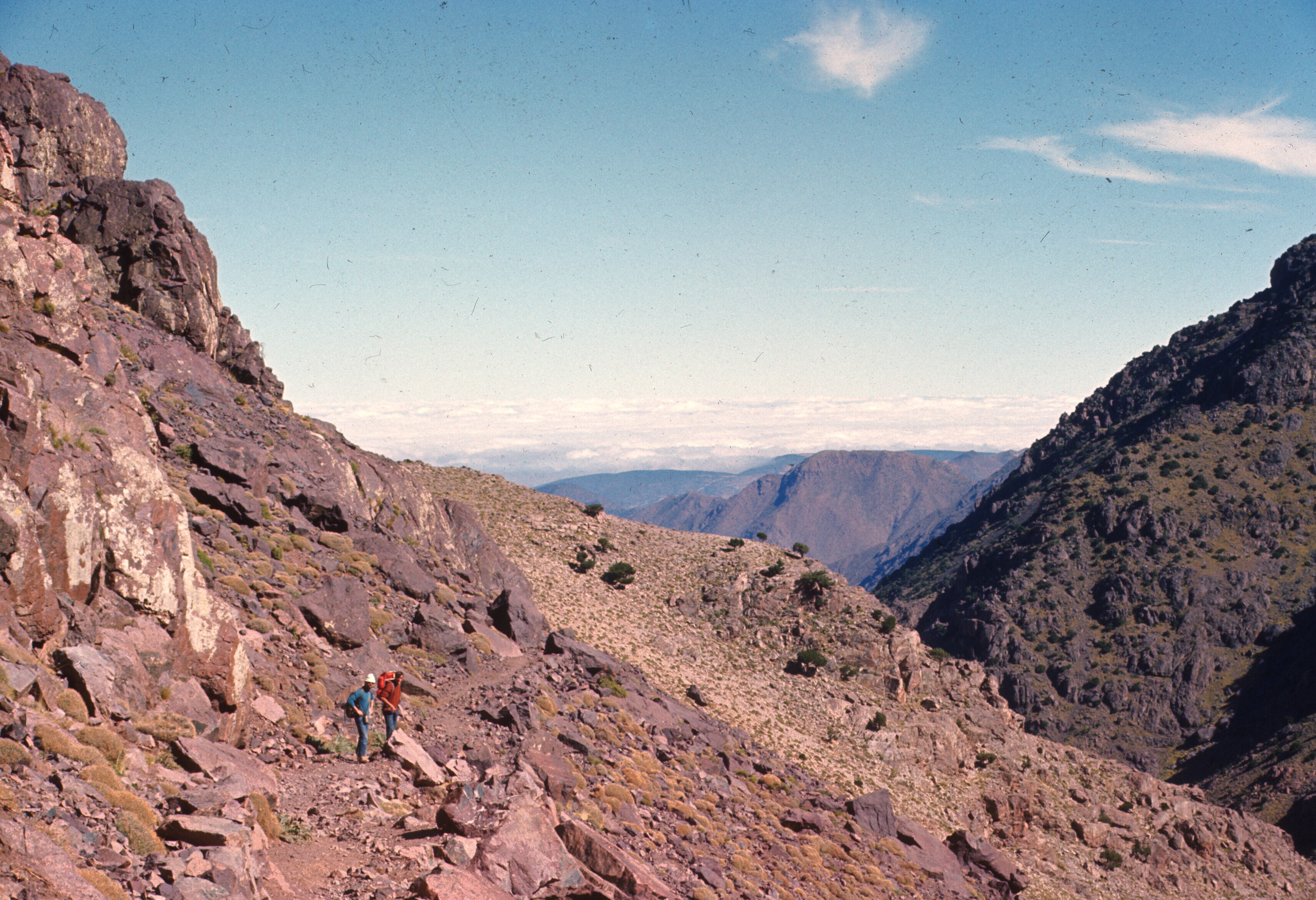 scan-110208-0010 copy