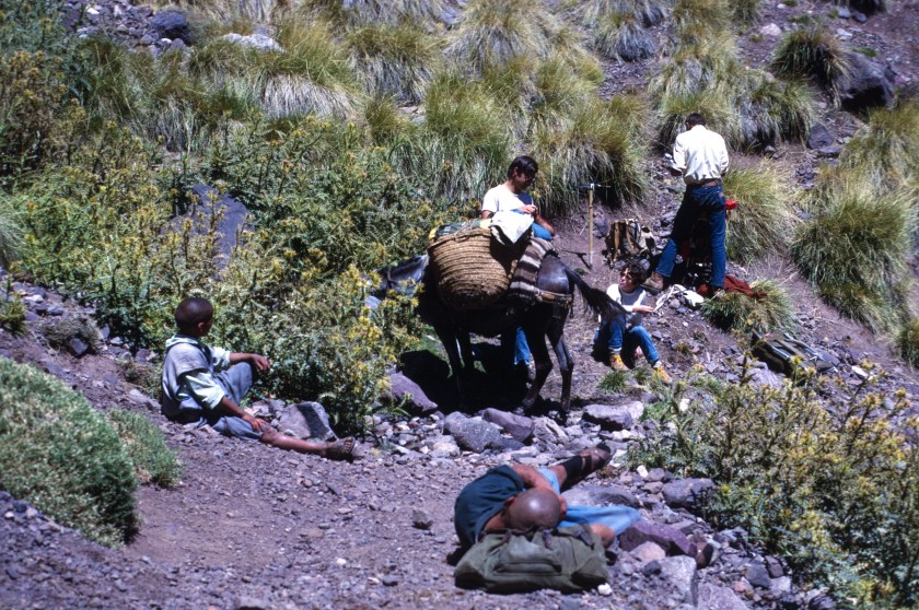 scan-110208-0013 copy