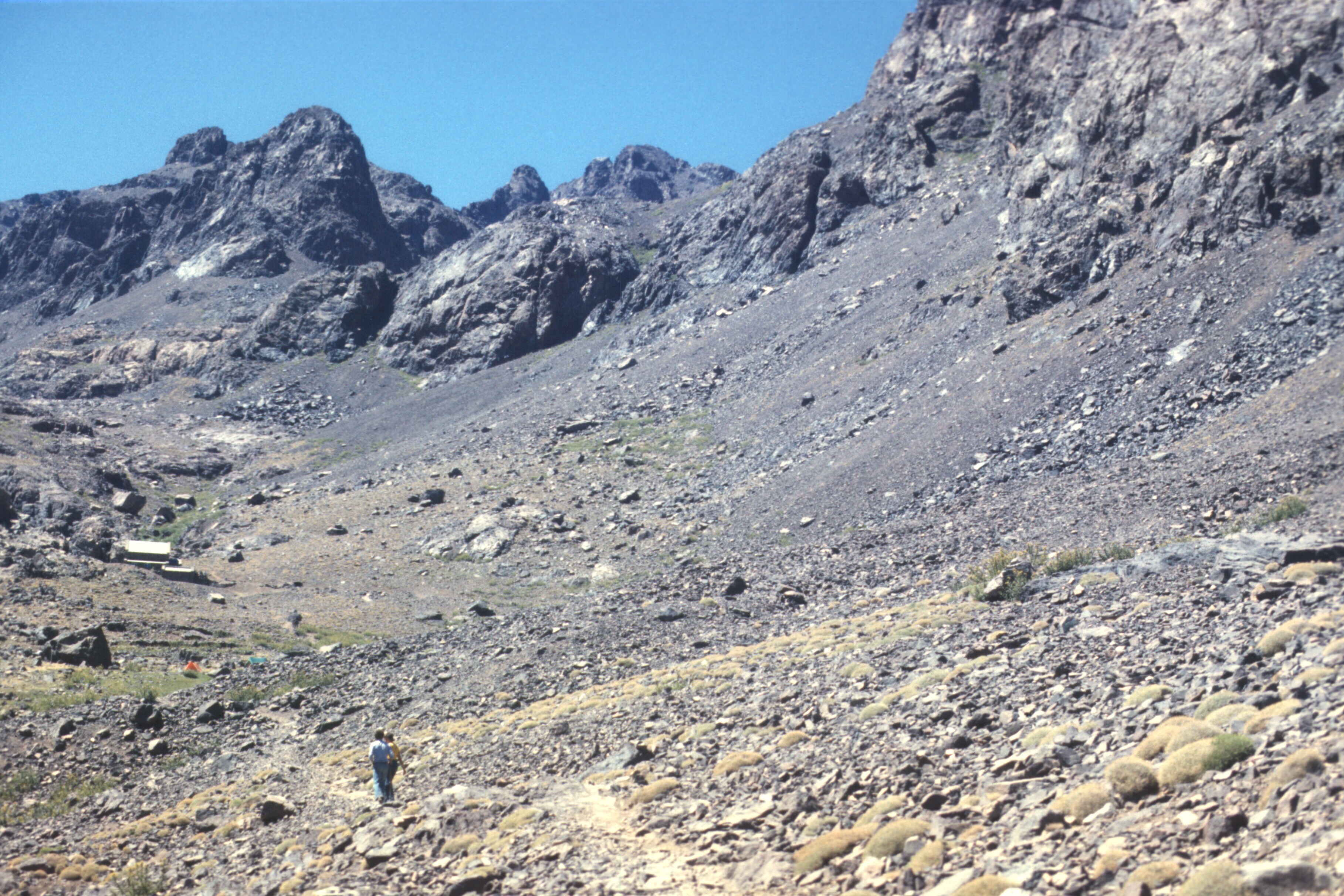 scan-110326-0013 copy