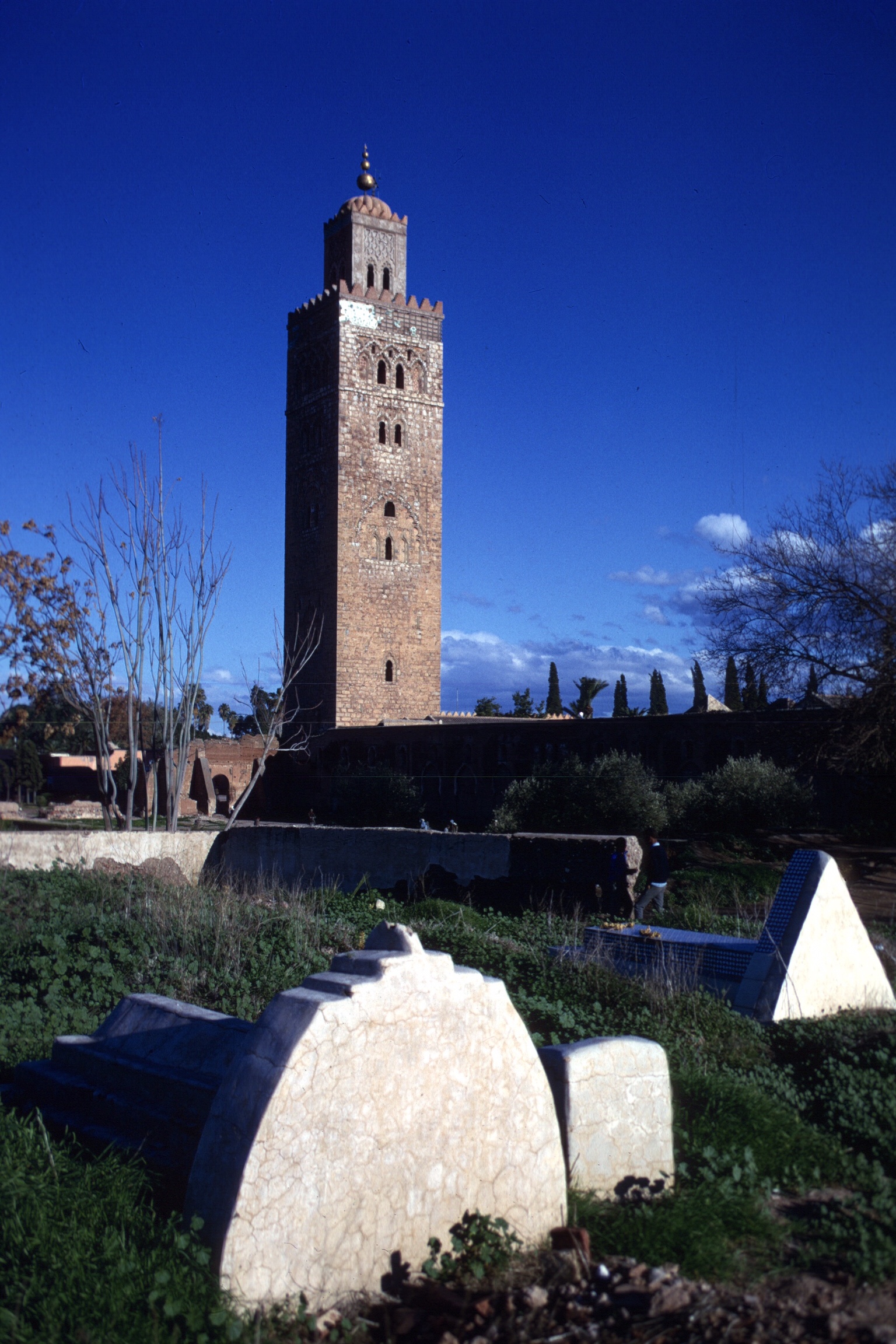 scan-110326-0022 copy