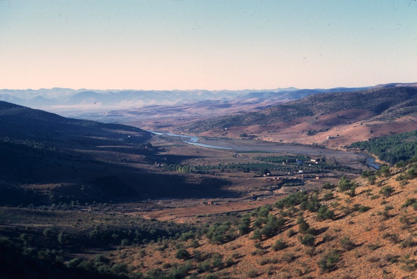 scan-110329-0032 copy