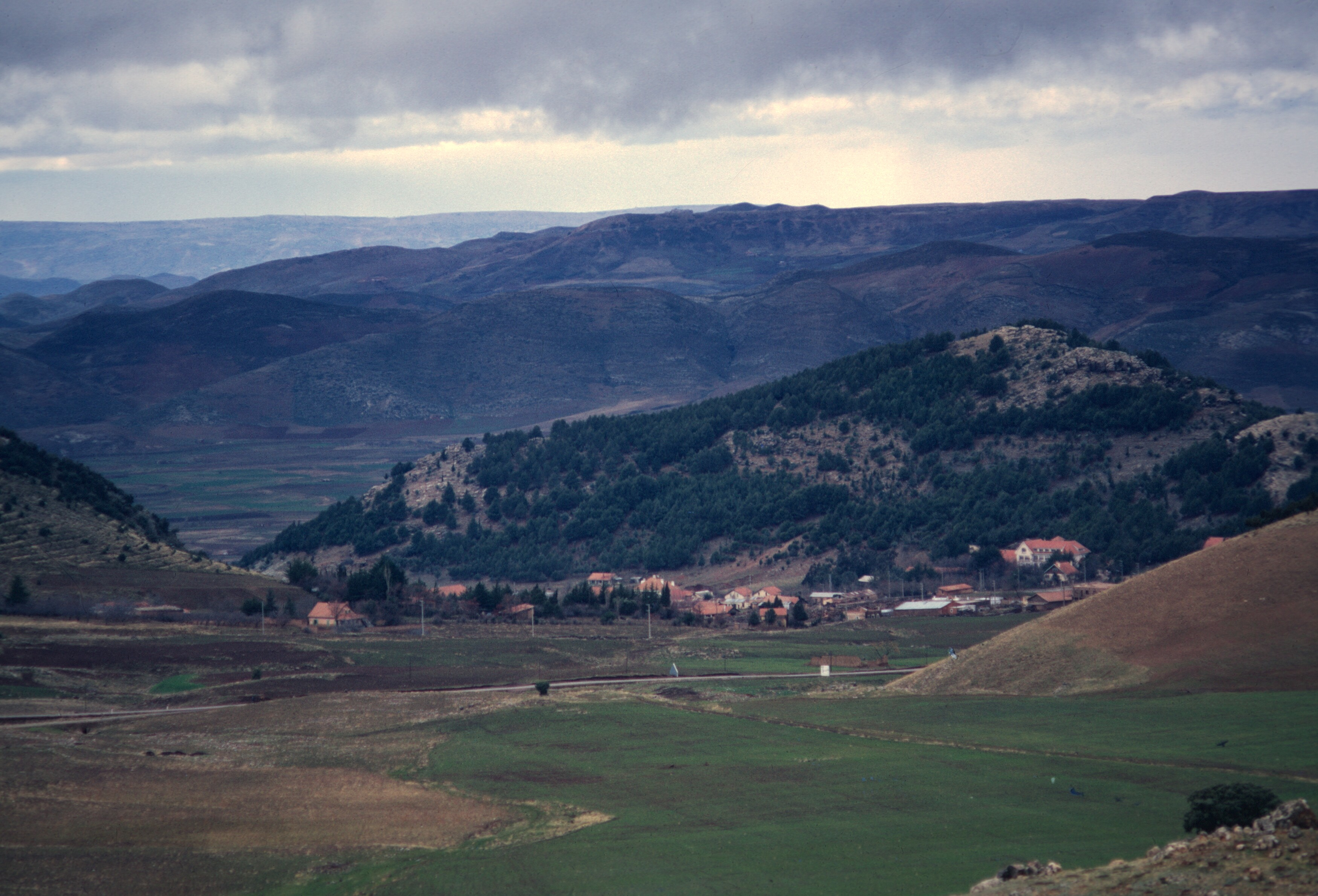 12816670-7D74-44F3-AD33-F77E7AD0D981