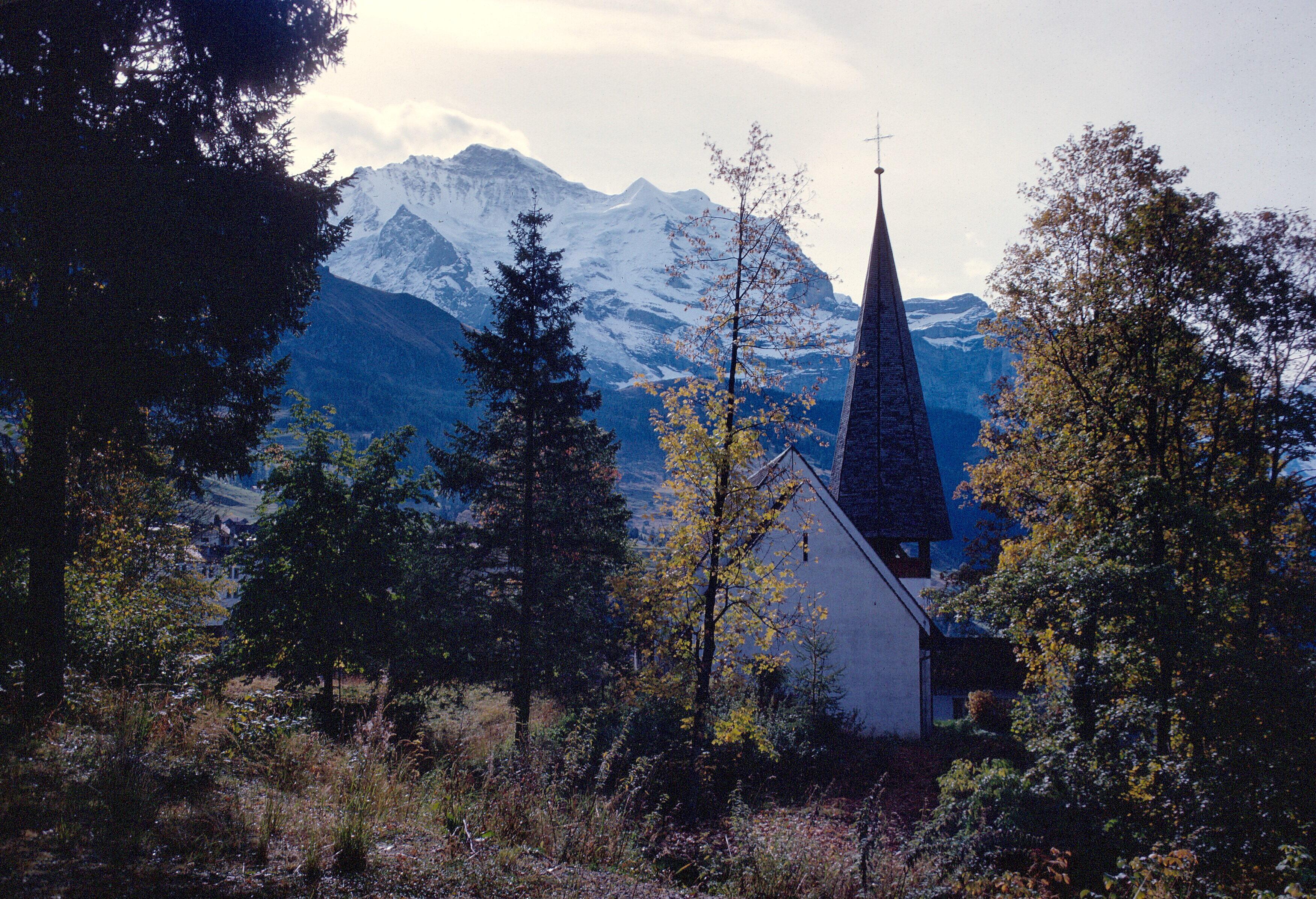 48332AC7-31F8-49FC-AE11-ADCD9670EB28