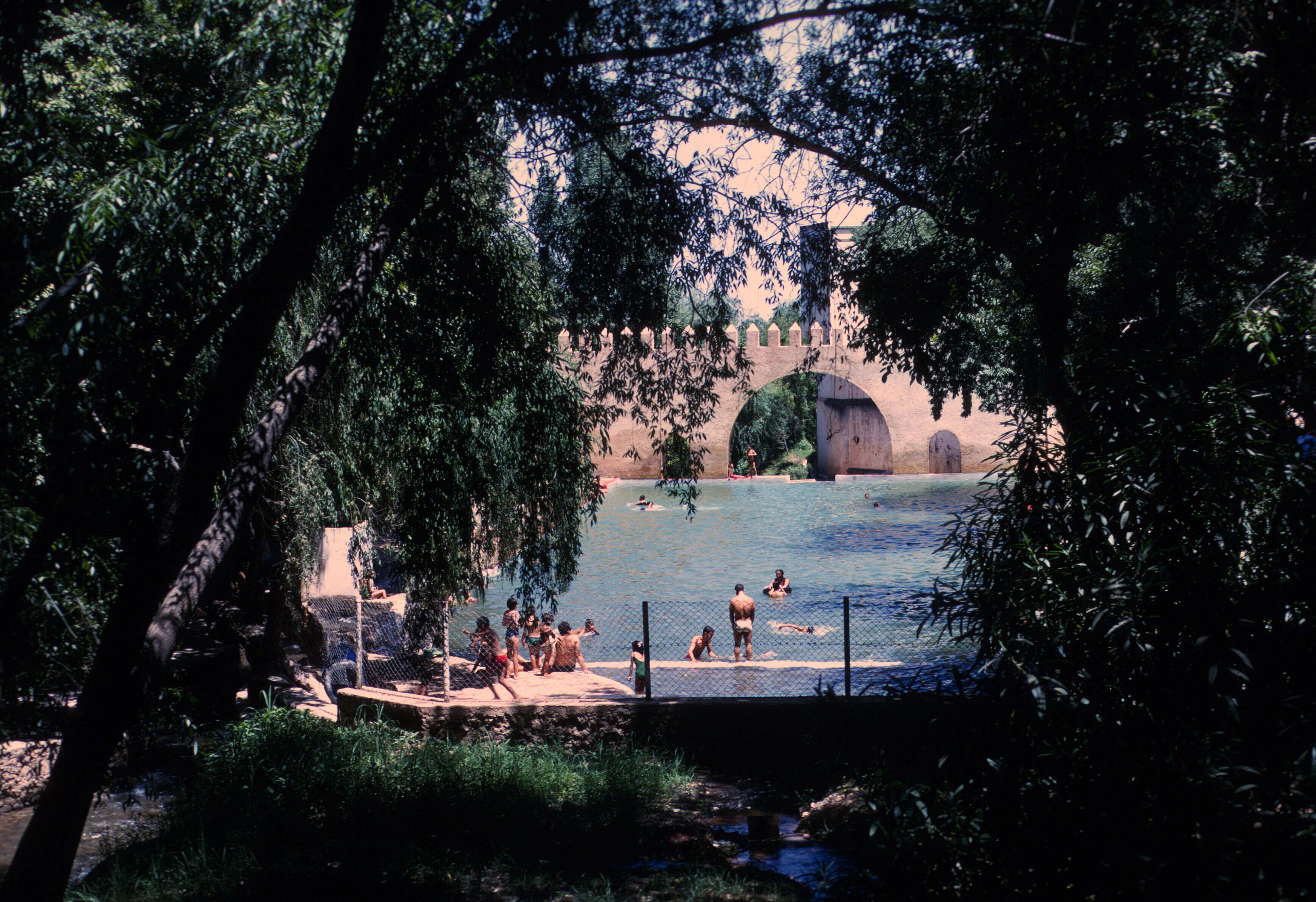 scan-110205-0017 copy