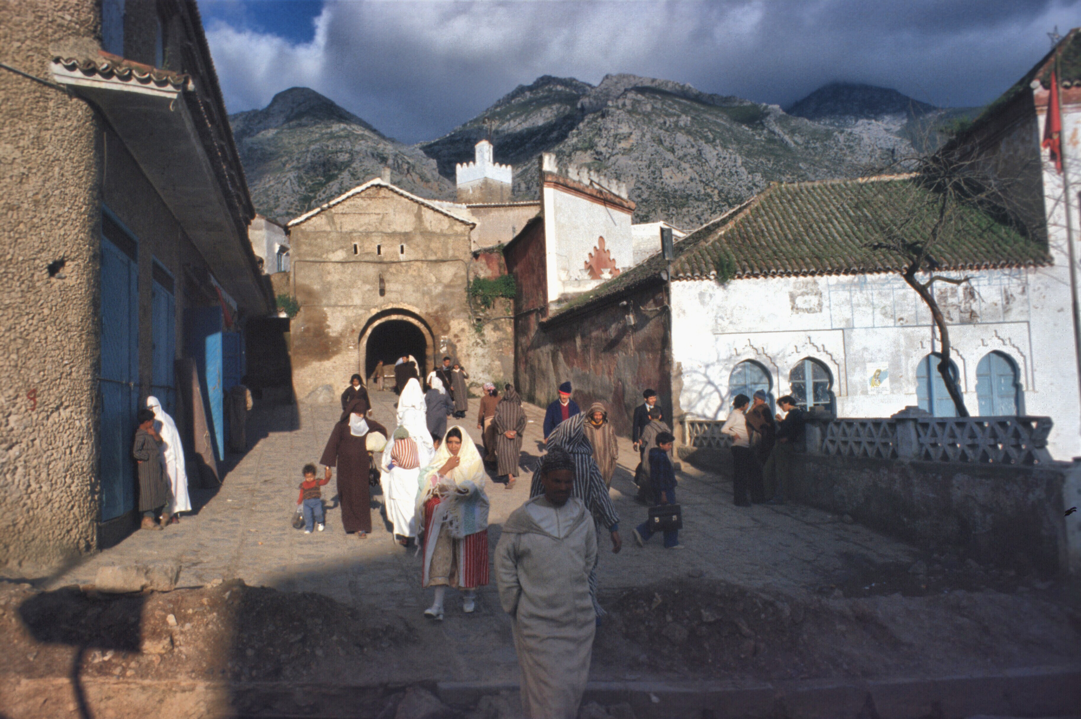 7AE272F6-FA7E-4C96-9082-F2963F23F0CE