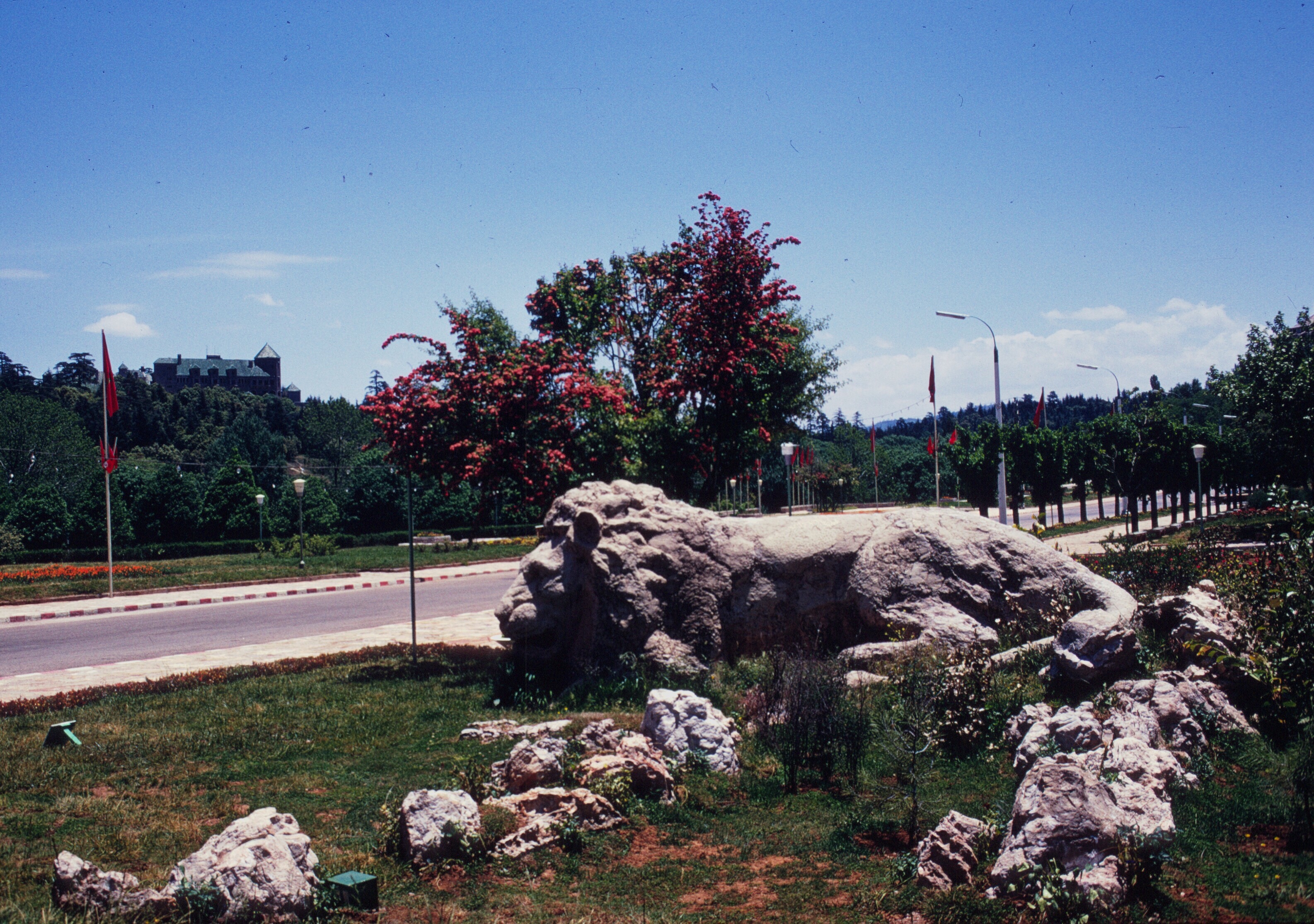 morocco ifrane lion palace