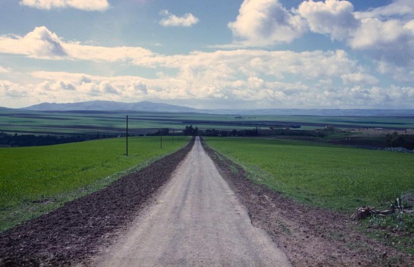 morocco volubilis road