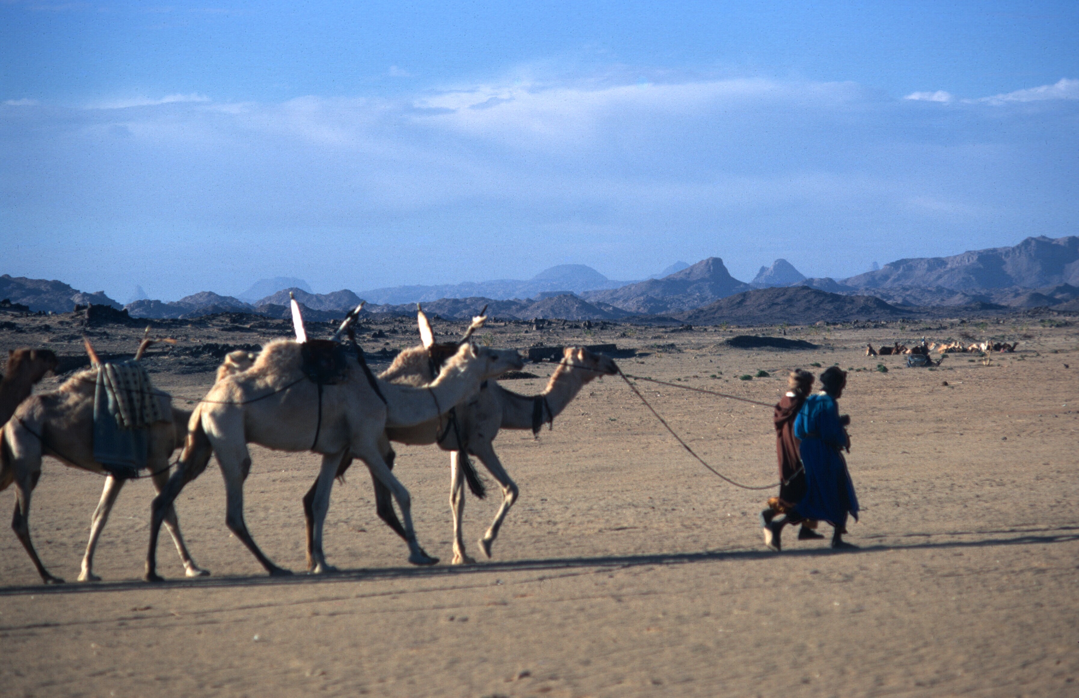 algeria sahara tamanrasset nomads